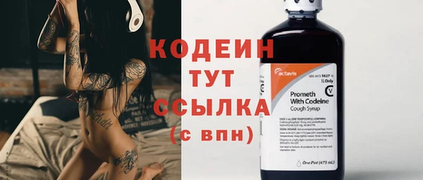 винт Абаза