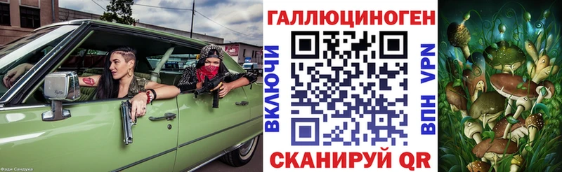 Псилоцибиновые грибы GOLDEN TEACHER  blacksprut сайт  Новокузнецк  как найти закладки 